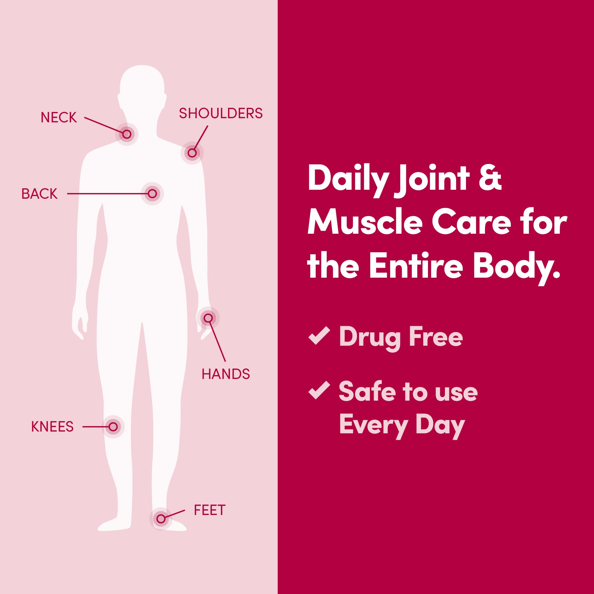 Penetrex Daily Joint & Muscle Care Cream – Soothing Botanical Formula with Arnica, Vitamin B6 & MSM – Lightweight Fast-Absorbing Cream for Everyday Movement - Non-Greasy - Light Scent- 2 oz Penetrex uk supplements