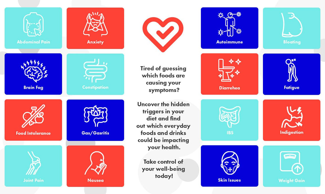 Advanced 1000 Item Food Sensitivity Test Digital Hair Analysis At Home Collection Food Environmental Metals Minerals and Additives Sensitivity Insights 24 to 48 Hour Results NATURAL DOCTORS SOLUTIONS uk supplements