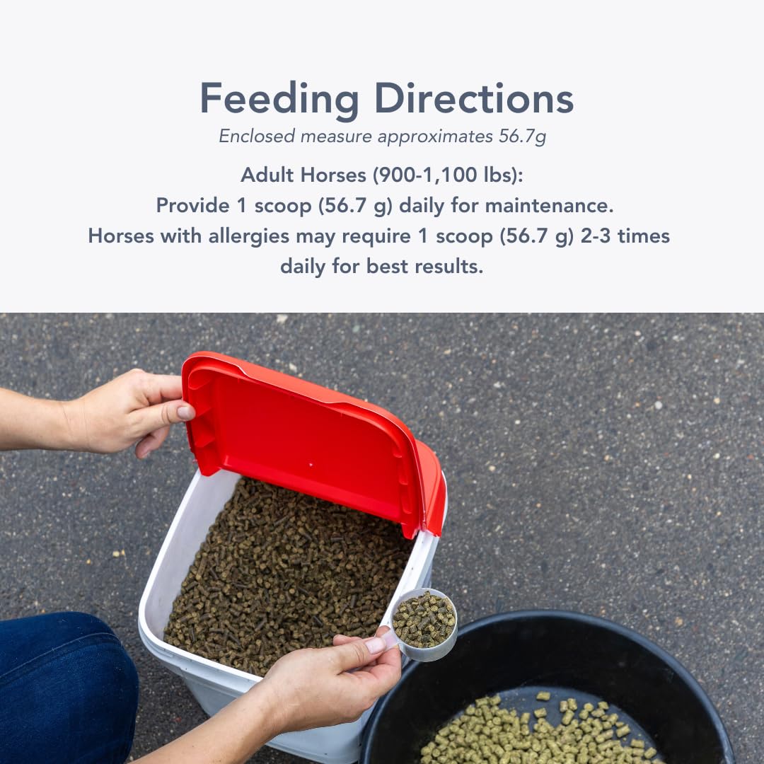 MVP Air-Way EQ Supports Healthy Lung Function and Seasonal Allergy Support in Horses, 5lb - 40 Servings MVP uk supplements