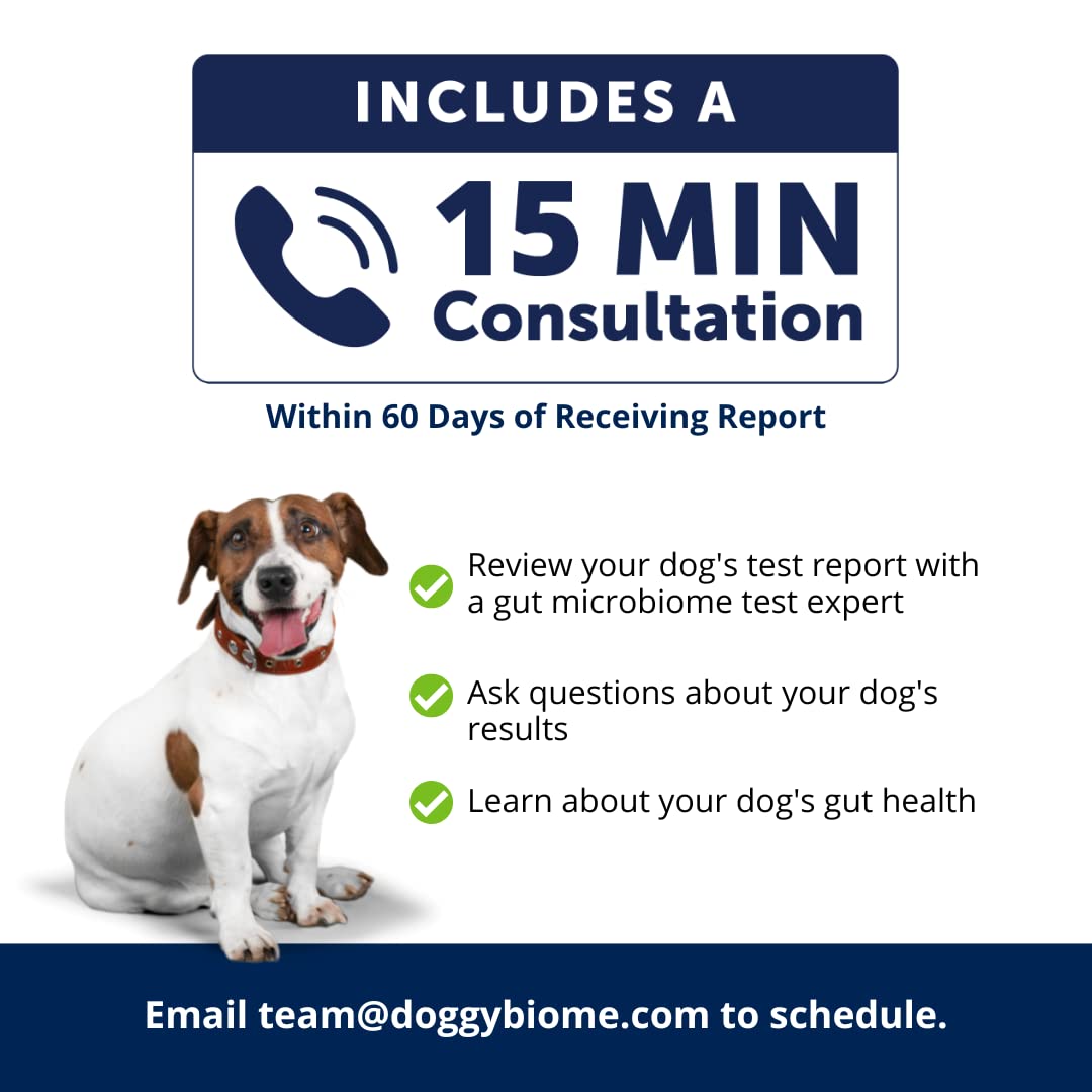 AnimalBiome Dog Gut Health Test – DoggyBiome At Home Stool Testing Kit, Canine Fecal Analysis for Digestive Issues, Diarrhea & Allergy Insights w/Personalized Report & Custom Plan (Dogs in US) AnimalBiome uk supplements