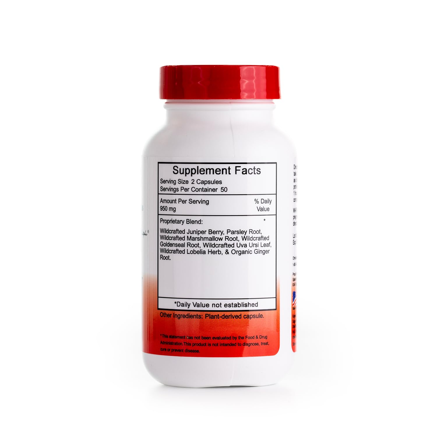 Christopher's Original Formulas Kidney Formula - Kidney Cleanse Detox & Repair Formula - Herbal Blend for Kidney Support Christopher's Original Formulas uk supplements