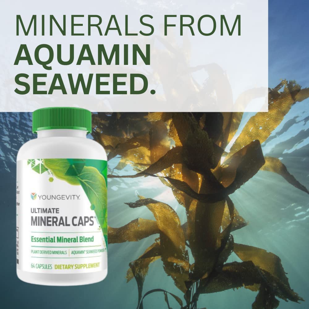 Youngevity Ultimate Mineral Caps™ - 70+ Essential Full Spectrum Trace Minerals - Nutrient-Dense, Derived from Humic & Aquamin Seaweed (64 Capsule) Youngevity uk supplements