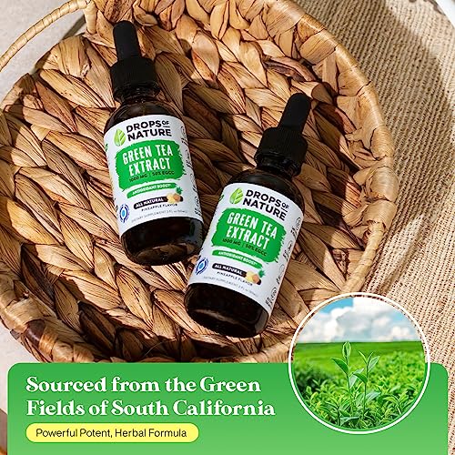 Green Tea Extract - 1000mg - 50% EGCG - Green Tea Liquid Drops, 4x more Powerful than Drops Of Nature uk supplements