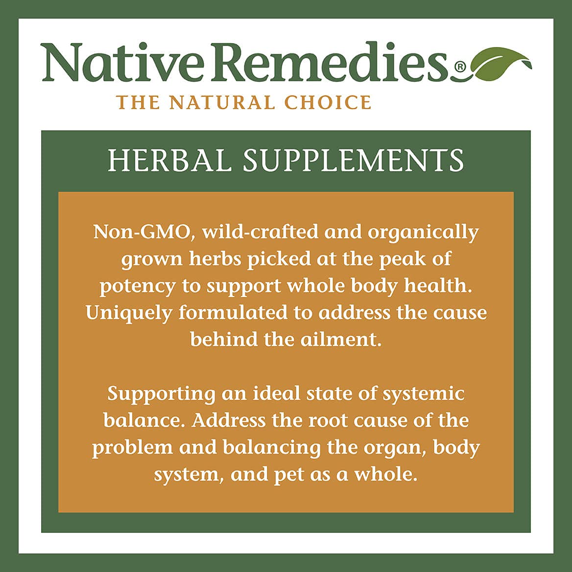 Native Remedies Inflam Dr. - All Natural Herbal Supplement Promotes Healthy Inflammation Response - Helps Fight Oxidative Stress to Cells - 60 Veggie Caps Native Remedies uk supplements