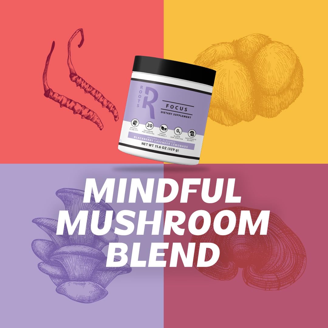 Roots Focus Brain Supplement - Nootropic Mushroom Supplement Powder for Memory, Focus, Energy - Lion's Mane, Cordyceps, and Reishi Mushrooms with Caffeine - Blackberry Lemonade, 15 On the Go Packets Silver Star Nutrition uk supplements
