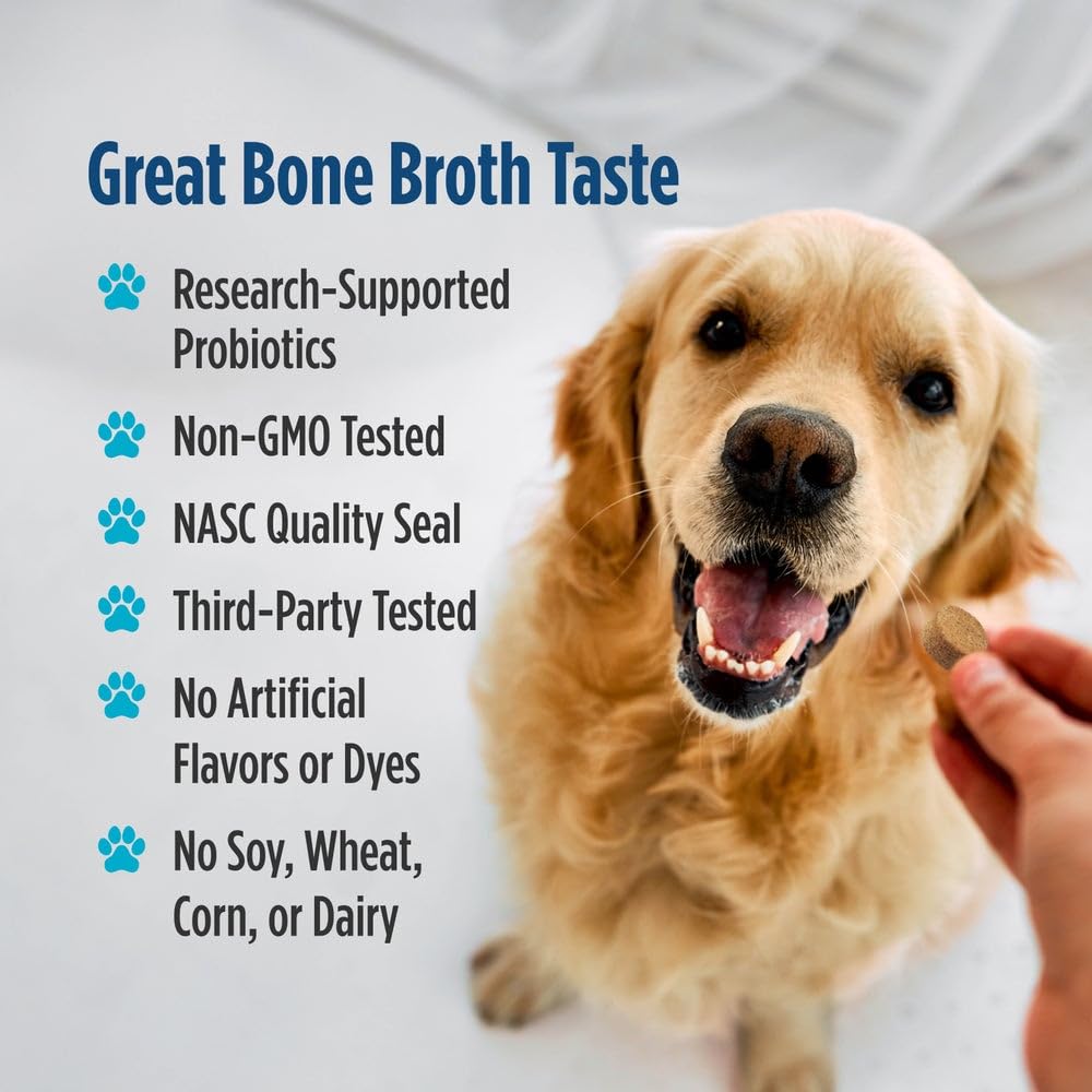 Nordic Naturals Pet Digestive Support with Probiotics, Pork Bone Broth Flavor - 30 Soft Chews - Nutritional Supplement for a Healthy Digestive System and GI Support - 30 Non-GMO Chews Nordic Naturals uk supplements