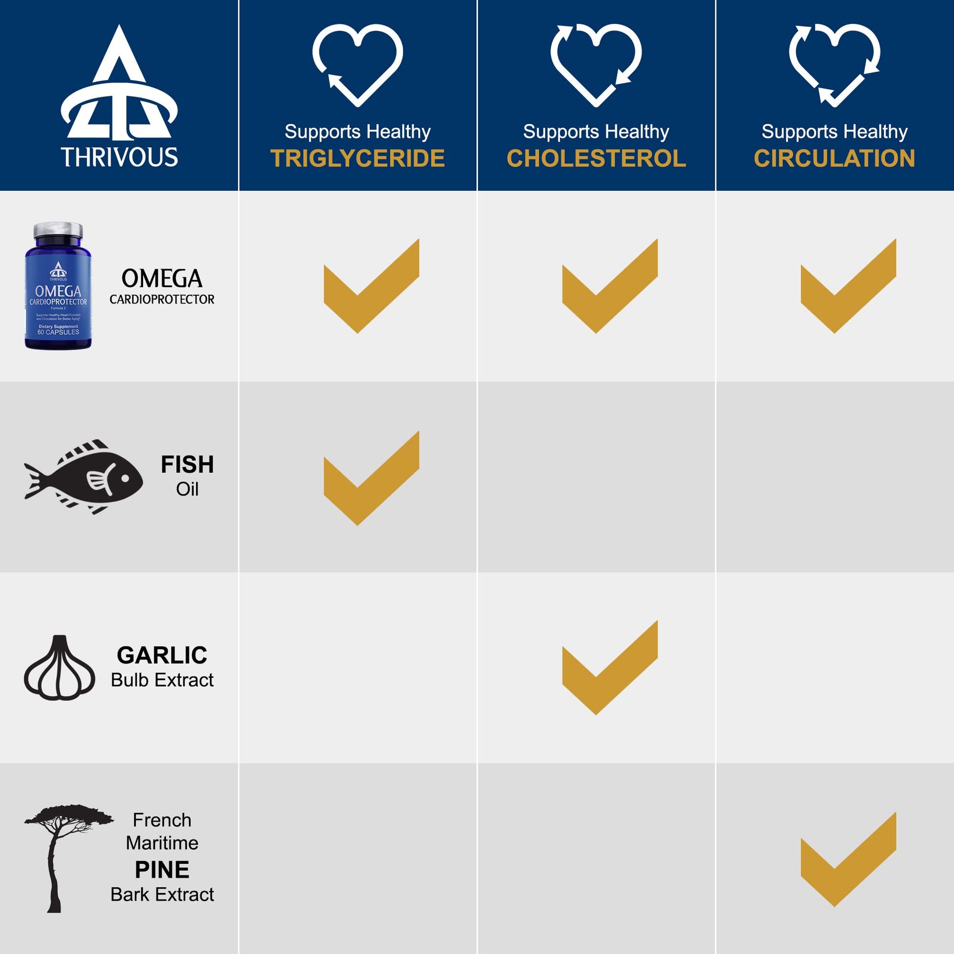 Thrivous Omega Cardioprotector – Advanced Heart & Circulation Support Supplement with AvailOm Omega-3, Garlic, Gotu Kola, Oligopin Pine Bark – 60 Vegan Capsules Thrivous uk supplements