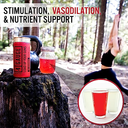 4 Gauge Natural Preworkout Without The Jitters | 30 Servings | Nitric Oxide Booster 4 Gauge uk supplements