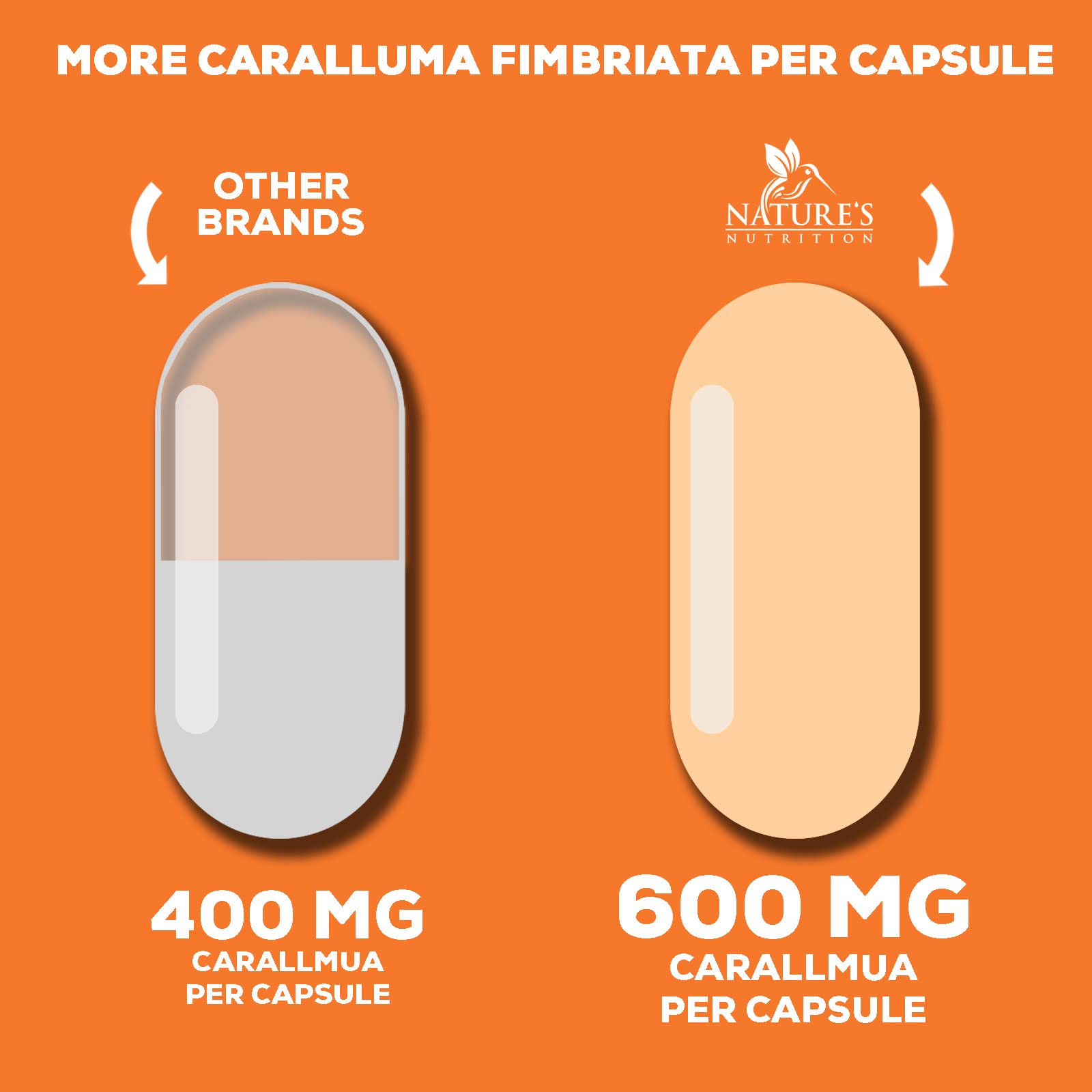Pure Caralluma Fimbriata Extract Highly Concentrated 1200mg - Natural Endurance Support Nature's Nutrition uk supplements