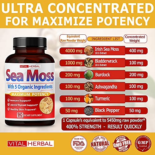 VITAL HERBAL Irish Sea Moss Capsules Equivalent to 5450mg - Maximum Potency VITAL HERBAL uk supplements