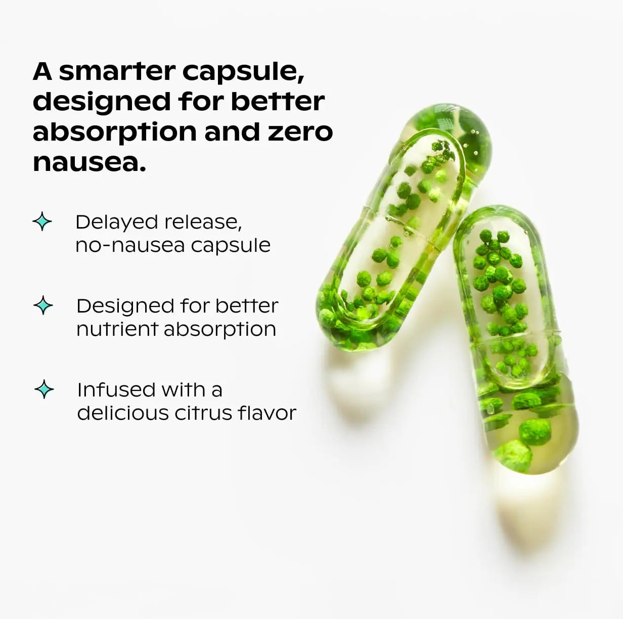 wholier Plant Based Multivitamin Vegan Omega-3 DHA EPA, Vitamin D, B12, Zinc, Vitamin K2, Iron, Iodine, Selenium wholier uk supplements