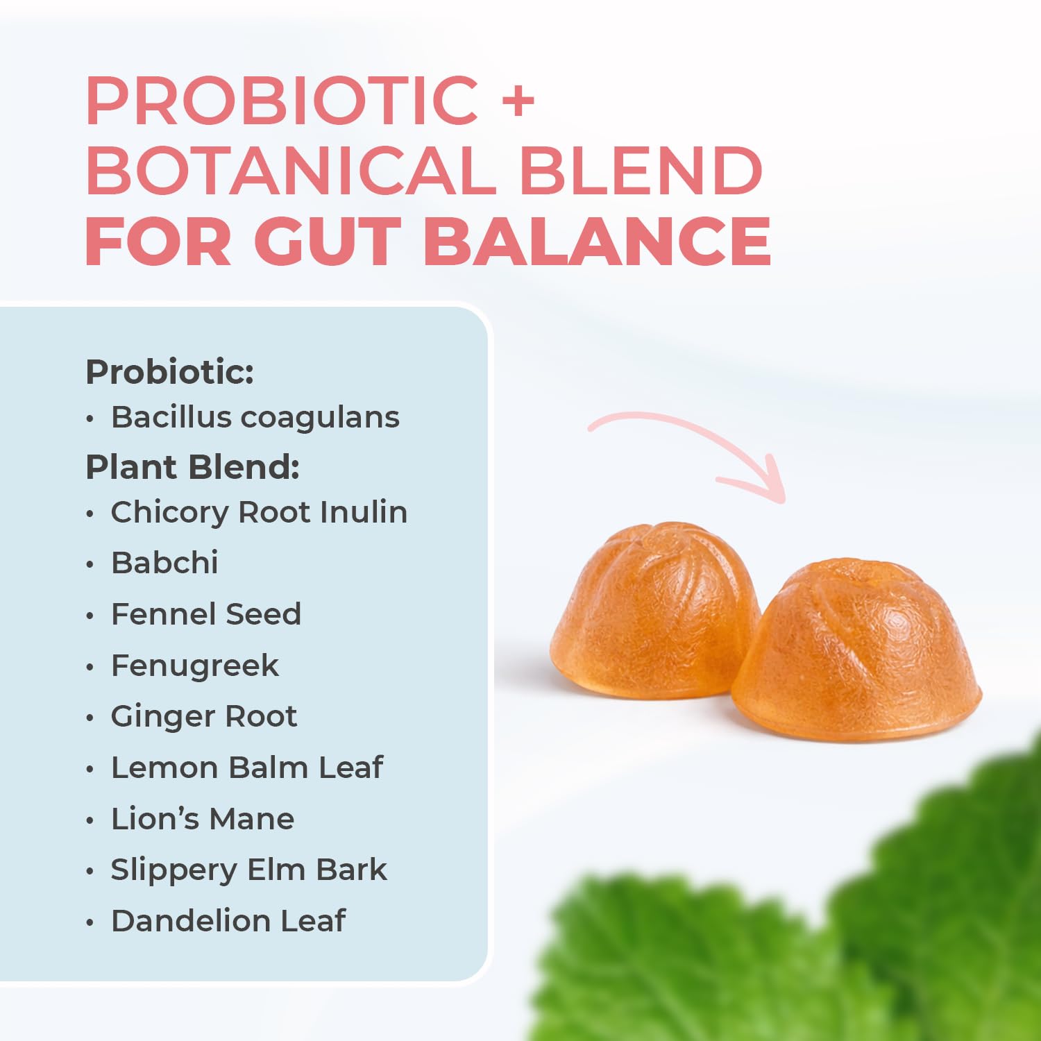 Nature’s NutriWave PrimeBiome Probiotic Gummies – Plant-Based Blend with Inulin, Lion’s Mane, Ginger & More– Non-GMO, No Stimulants, GMP Certified – 30 Gummies, 6 Month Supply Nature’s NutriWave uk supplements