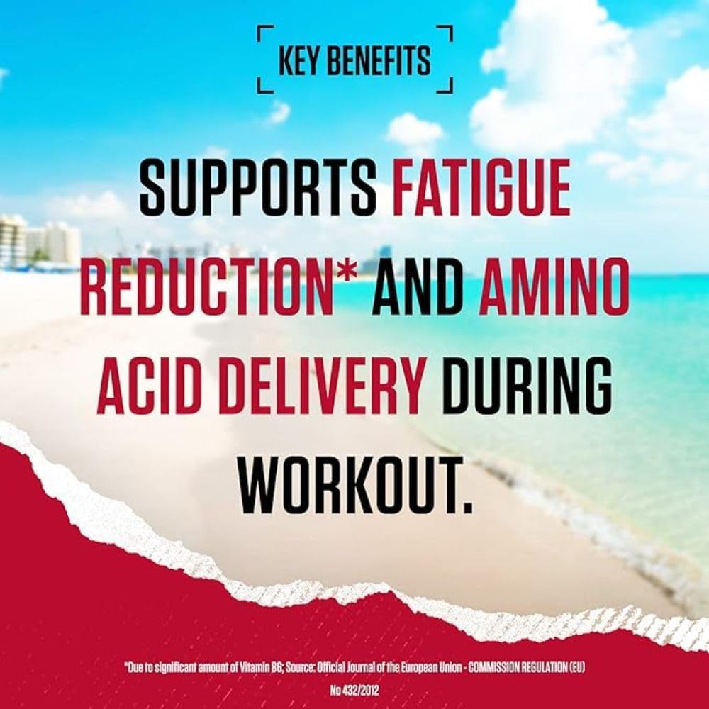 BSN Nutrition Amino X Supplement with Vitamin D, Vitamin B6 and Amino Acids BSN uk supplements