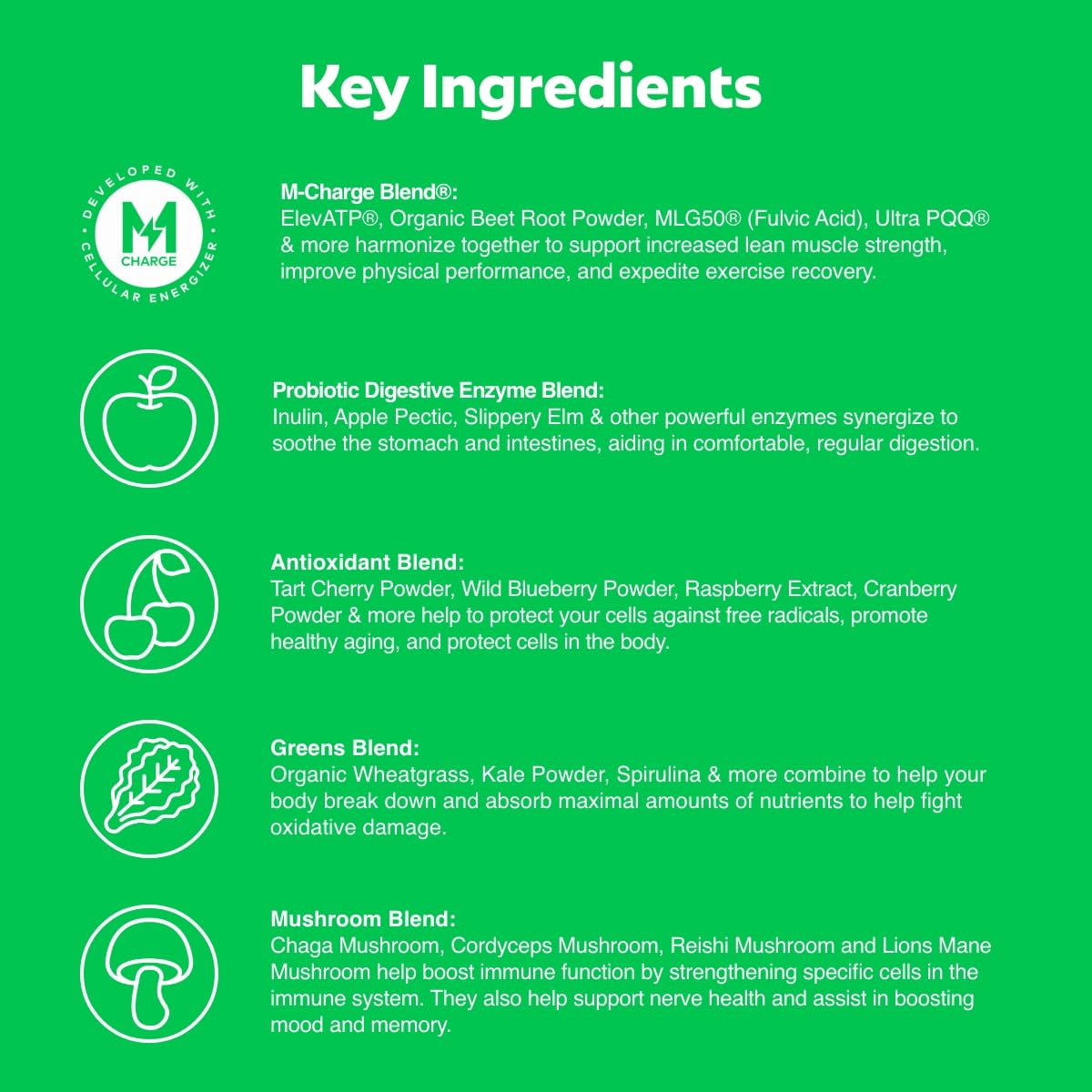 L'Evate You Vitality Daily Greens Powder (28 Servings) 30 Superfoods, 9 Greens - for a Cellular Energy Boost, Powered by M-Charge Complex for All Day Energy (Original) Steve Harvey's L'Evate You uk supplements