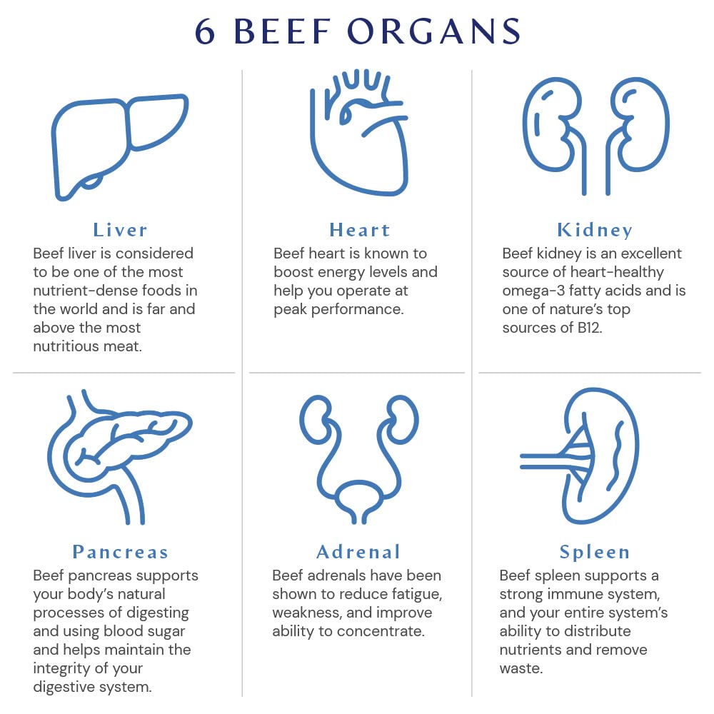 BodyHealth Organ+ Grass-Fed Glandular Organ Complex, Grassfed Beef Organ Supplement, Dessicated Beef Liver, Heart, Kidney, Pancreas, Spleen, Non GMO, Adrenal, Supplement, (150 Capsules) BodyHealth uk supplements