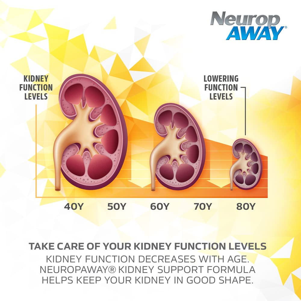 NeuropAWAY Kidney Support Formula Sugar Free with Agmatine Sulfate 500mg L-Novaline 50mg L-Ornithine 150mg L-Citrulline 100mg Per Capsule 90CT Fast Acting Kidney Support NeuropAWAY uk supplements