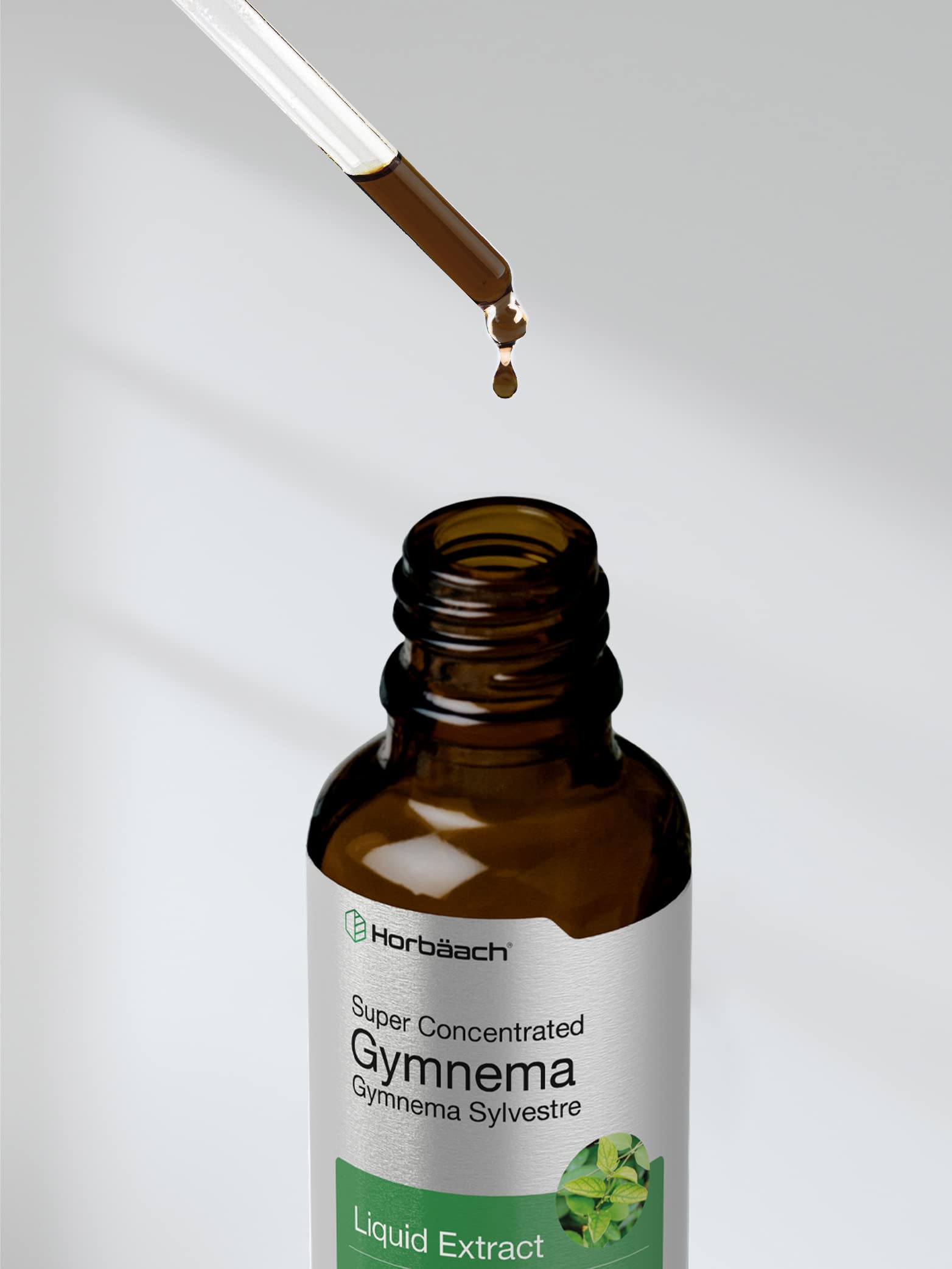 Gymnema Sylvestre Liquid | 2 fl oz | Alcohol Free Supplement | Super Concentrated Horbäach uk supplements