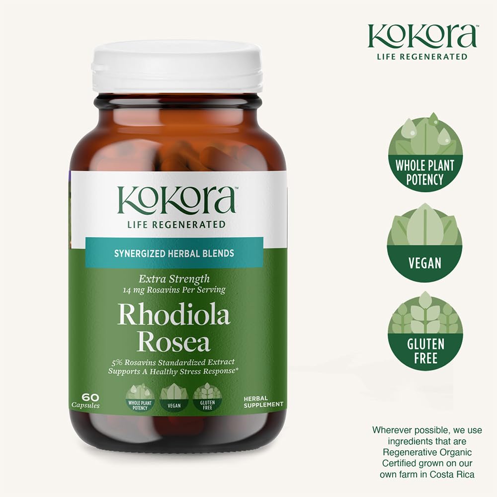 kokora Extra Strength Rhodiola Rosea – Stress Relief, Endurance & Promotes Mental & Physical Performance* - with Siberian Rhodiola, Rosavins, Organic Holy Basil - Vegan, Non-GMO - 60 Capsules kokora uk supplements