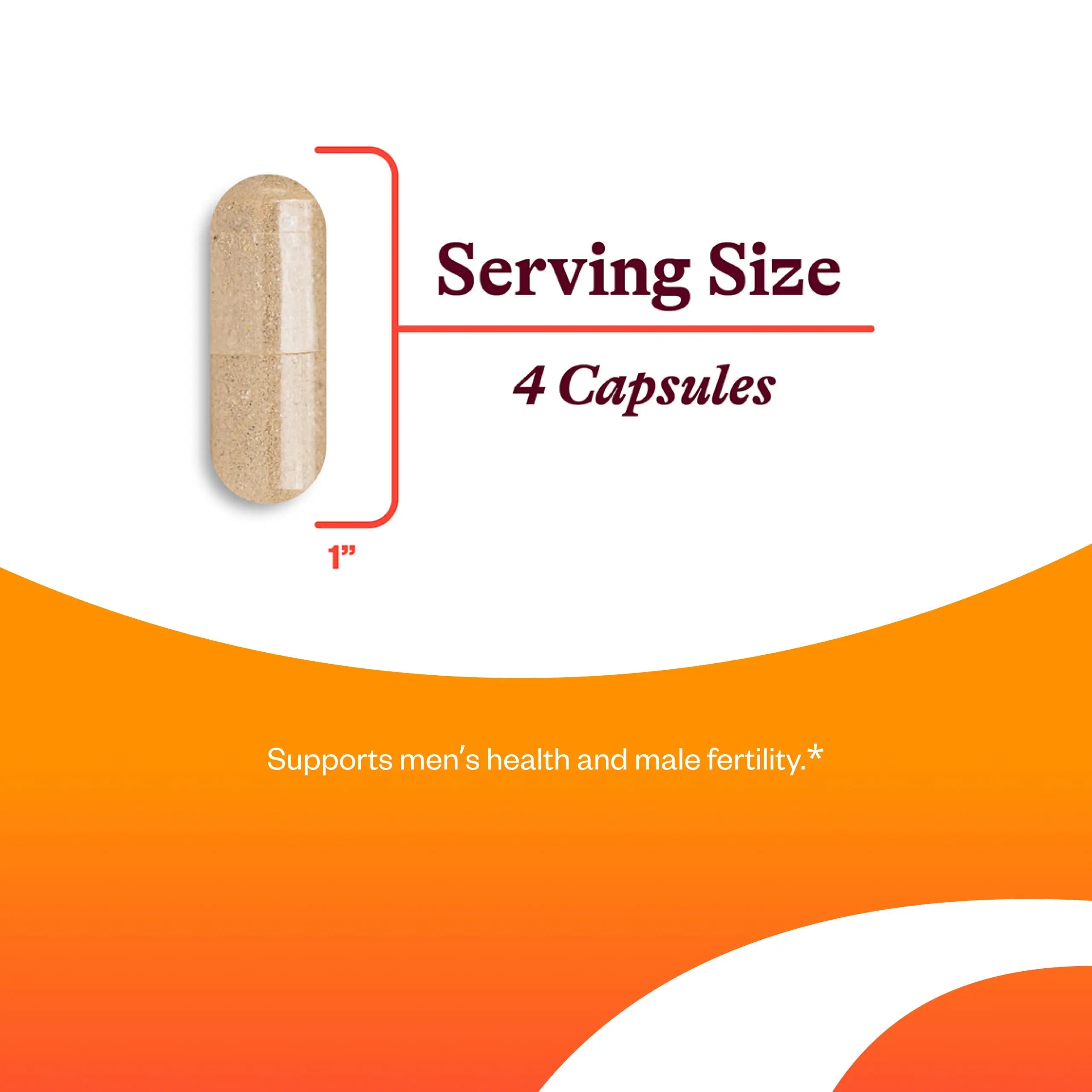 Seeking Health Optimal Man - Multivitamin Supplement with Zinc, Active Folate, & Alpha-Lipoic Acid - Multivitamin Supports Energy & Brain Health - Support Healthy Aging Seeking Health uk supplements
