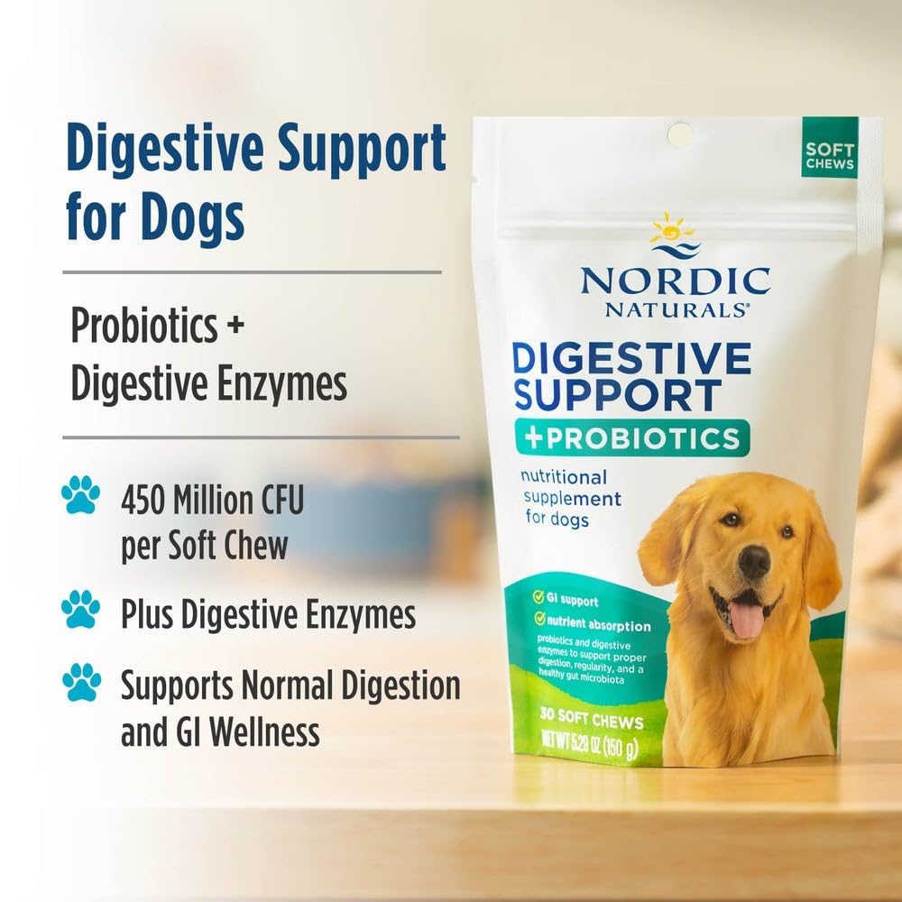 Nordic Naturals Pet Digestive Support with Probiotics, Pork Bone Broth Flavor - 30 Soft Chews - Nutritional Supplement for a Healthy Digestive System and GI Support - 30 Non-GMO Chews Nordic Naturals uk supplements