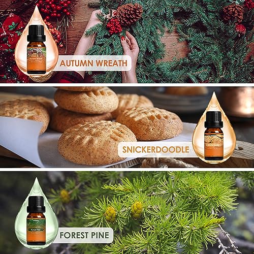 Autumn Fragrance Oil Set, Premium Fall Essential Oils for Diffuser and Candle Making -Cinnamon ARVIDSSON uk supplements