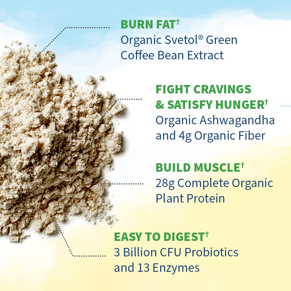 Garden of Life Raw Organic Fit Powder, Original - High Protein for Weight Loss (28g) Plus Garden of Life uk supplements