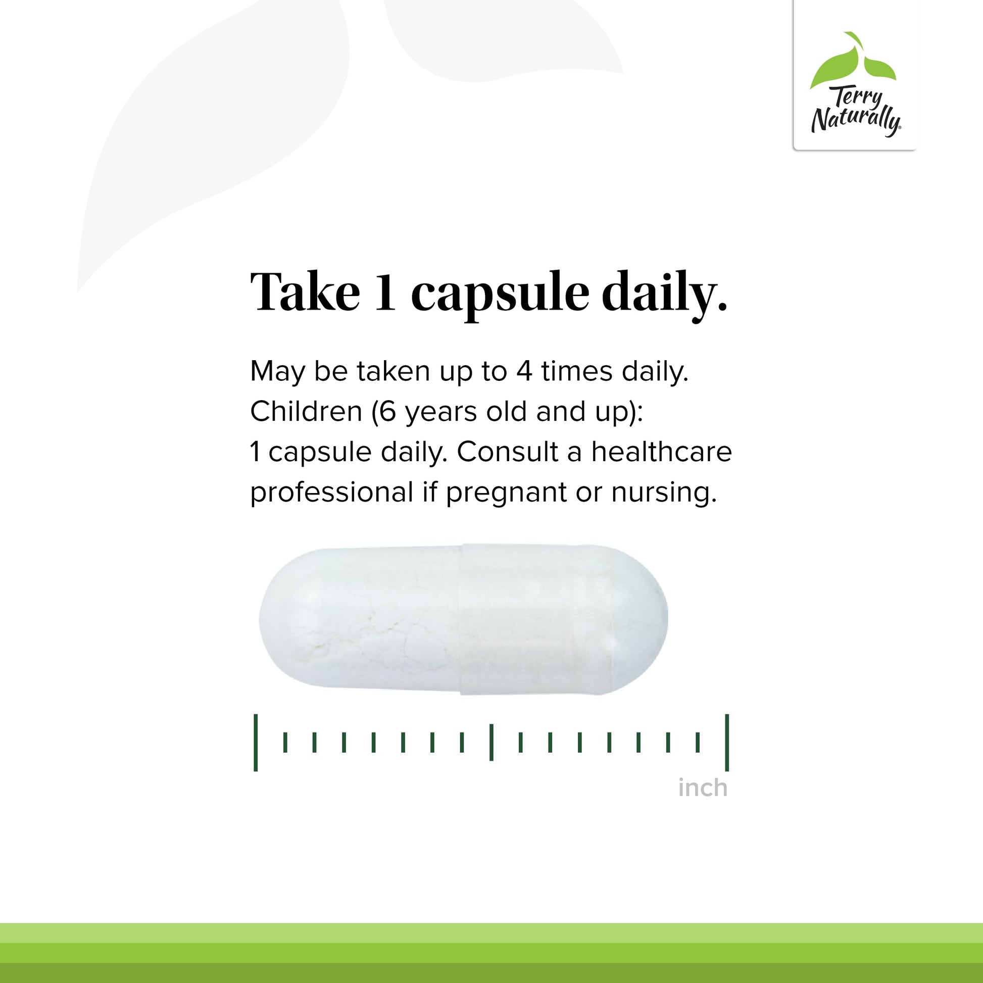 Terry Naturally BioActive Magnesium Complex - Bone & Heart Health Support - Supplement with Vitamin B6, Zinc & Magnesium - Pyridoxal-5-Phosphate Vegan Capsule Supplement - 120 Capsules Terry Naturally uk supplements