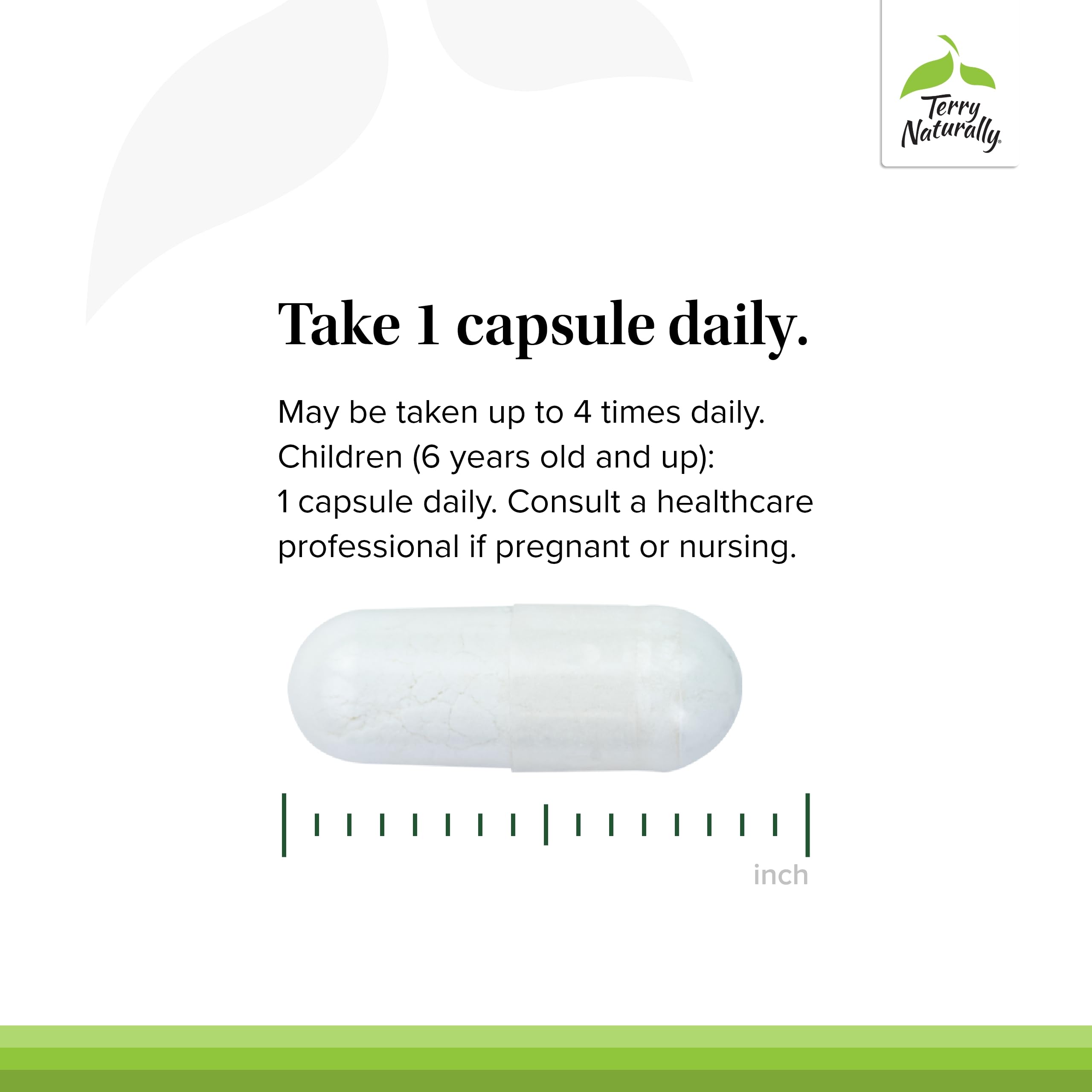 Terry Naturally BioActive Magnesium Complex - Bone & Heart Health Support - Supplement with Vitamin B6, Zinc & Magnesium - Pyridoxal-5-Phosphate Vegan Capsule Supplement - 120 Capsules Terry Naturally uk supplements