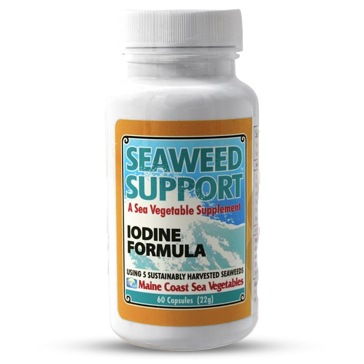 Maine Coast Sea Vegetables Seaweed Support Iodine Formula | Source of Iodine from Seaweed | Daily Use Iodine Supplement | Organic Alaria, Rockweed, Sea Lettuce, Dulse & Bladderwrack blend | 60 Capsule Maine Coast Sea Vegetables uk supplements