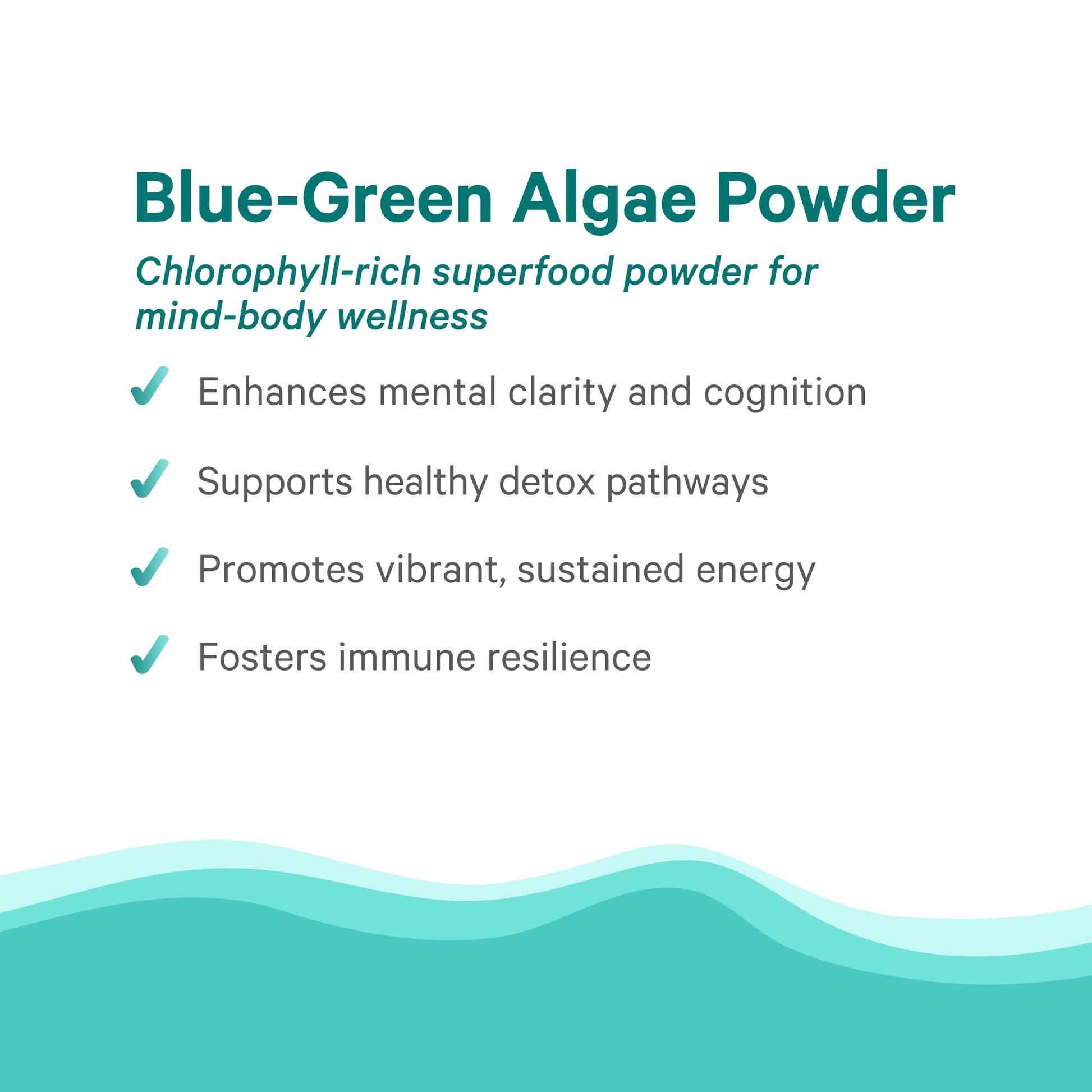 PURE SYNERGY Blue-Green Algae Powder | Superfood Powder with Chlorophyll | Organic AFA Blue Green Algae Supplement | Supports Energy, Mental Clarity, and Detoxification (3.2 oz.) PURE SYNERGY uk supplements