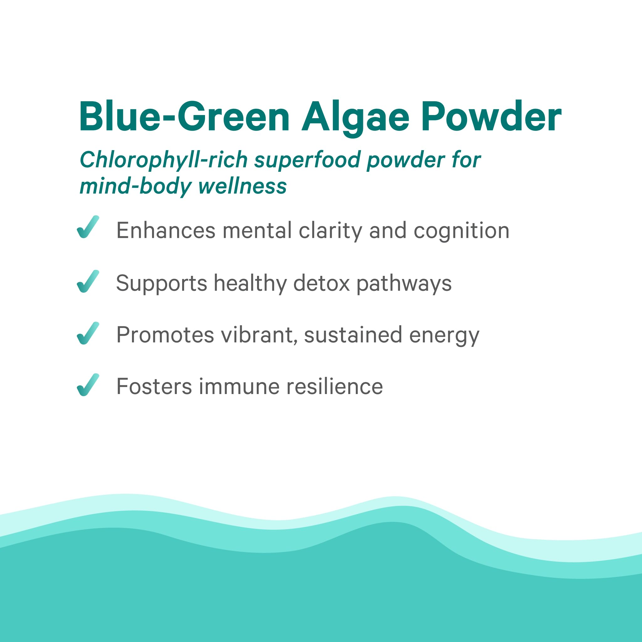 PURE SYNERGY Blue-Green Algae Powder | Superfood Powder with Chlorophyll | Organic AFA Blue Green Algae Supplement | Supports Energy, Mental Clarity, and Detoxification (3.2 oz.) PURE SYNERGY uk supplements