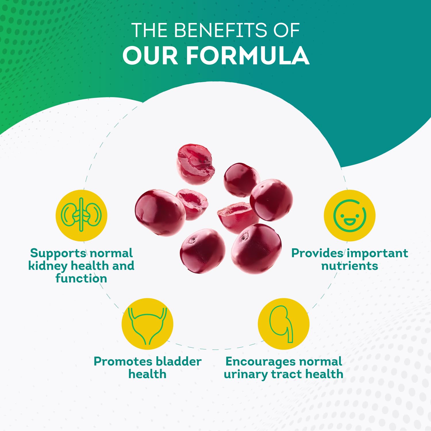 PurePremium Kidney Support Supplement with Cranberry Extract - Kidney Cleanse, Detox PurePremium Supplements uk supplements