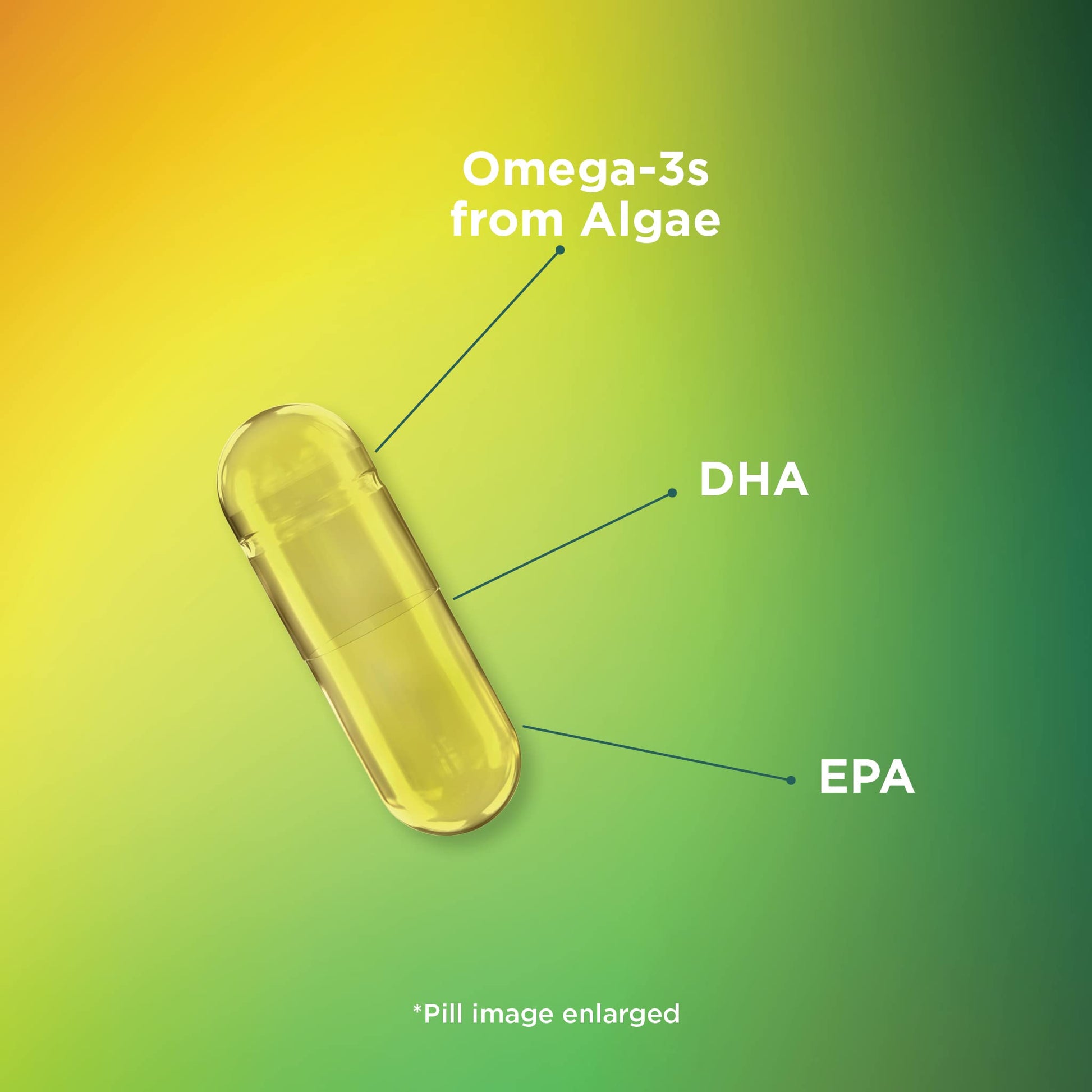 Theralogix PhytoLife Omega - 90-Day Supply - Vegan Algae Omega-3 Supplement Theralogix uk supplements