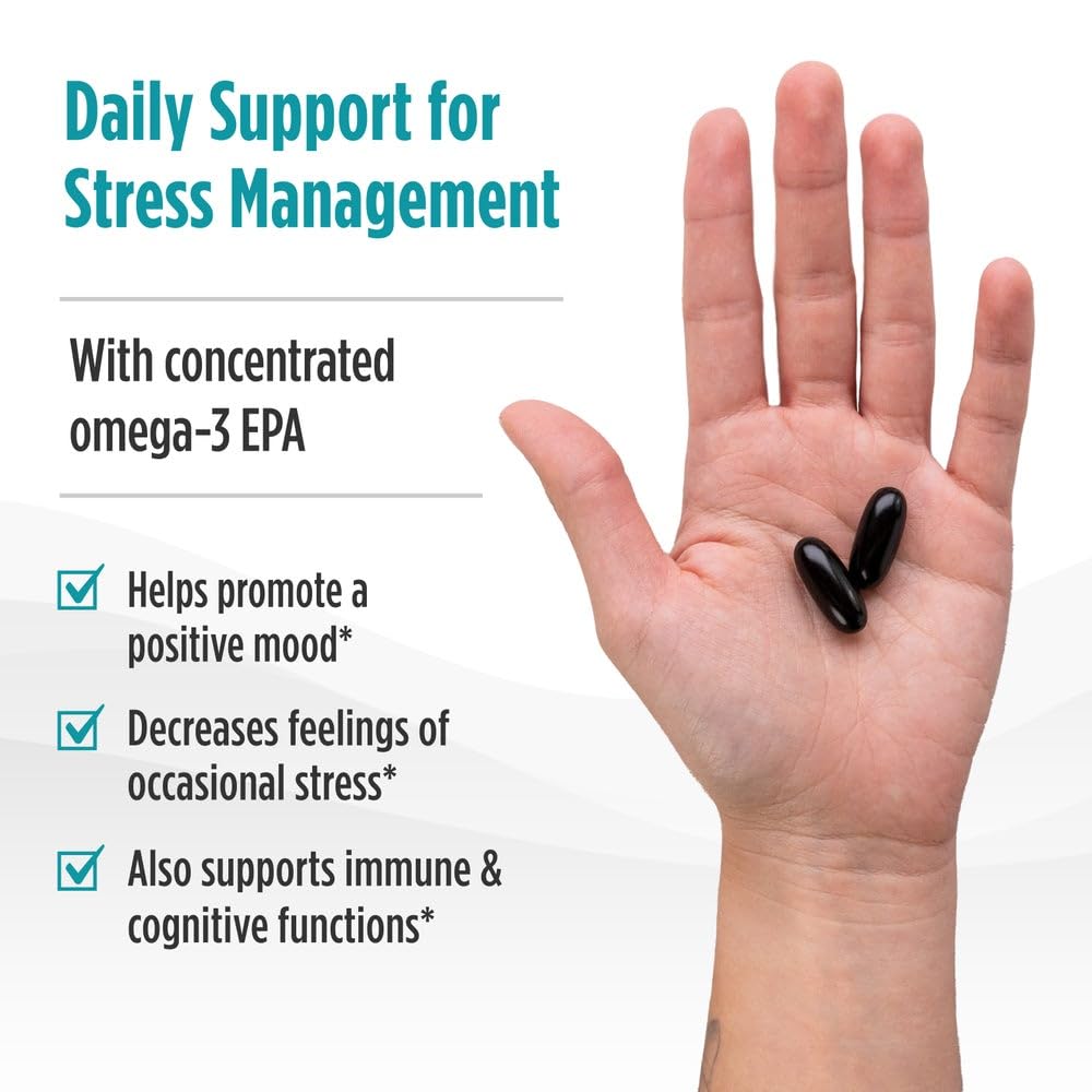 Nordic Naturals Mood Support Omega Blend - Unflavored - 60 Soft Gels - 1400 mg Omega-3 Supplement with EPA & DHA - Promotes Balanced Mood and Serenity - Non-GMO - 30 Servings Nordic Naturals uk supplements