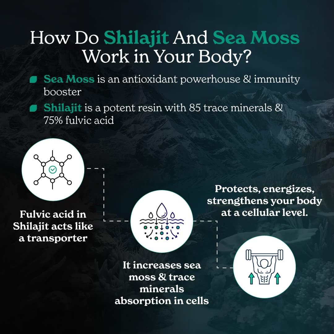 Better Alt Shilajit Sea Moss Capsules Pack of 2 with Ashwagandha & Black Pepper Extract with 85+ Essential Minerals & Antioxidants| Boosts Energy & Metabolism - 120 Servings, 240 Capsules Better Alt uk supplements