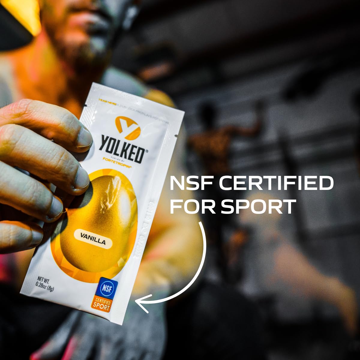 YOLKED - NSF-Certified Muscle Building Supplement - Help Increase Lean Muscle, Reduce Muscle Loss, and Improve Recovery with Fortetropin, 30 Servings YOLKED uk supplements