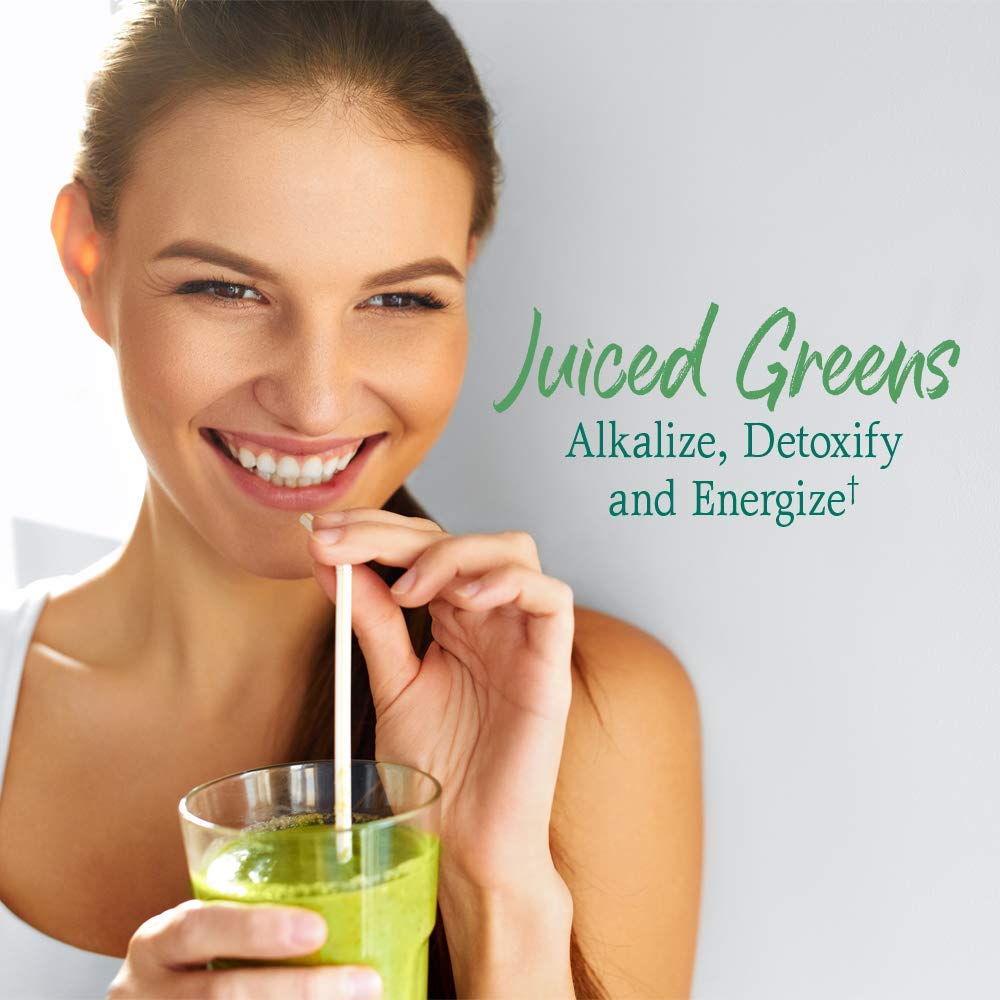 Garden of Life Raw Organic Perfect Food Alkalizer & Detoxifier Juiced Greens Superfood Garden of Life uk supplements
