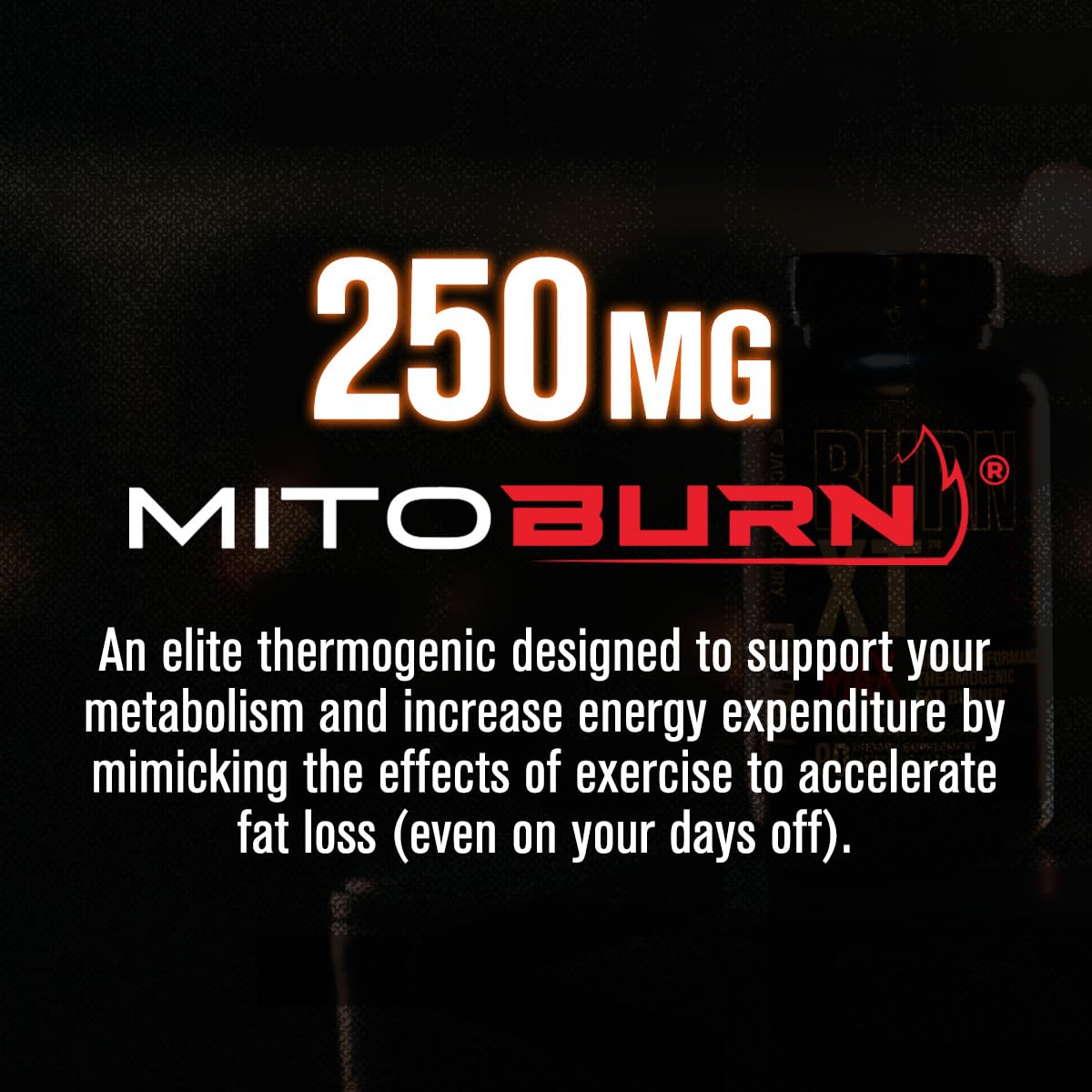 Jacked Factory Burn-XT Max - High-Performance Thermogenic Fat Burner & Appetite Suppressant for Weight Loss w/PurCaf Organic Caffeine, MitoBurn, Green Tea Jacked Factory uk supplements