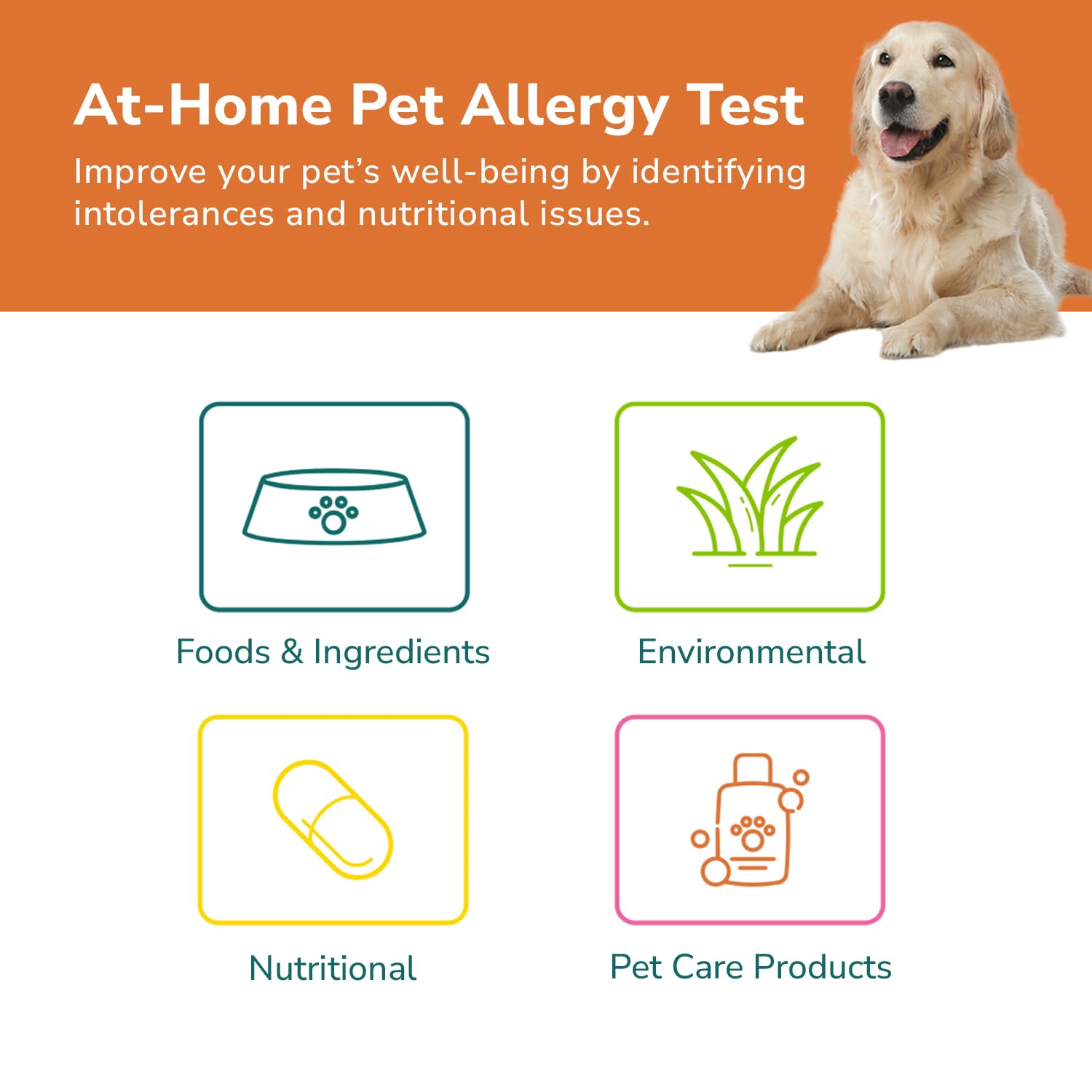 TotalVet Dog Allergy +1000 Food & Nutritional Sensitivity Test, Pet Intolerance Kit at Home — Advanced Complement to DNA Tests for Complete Pet Wellness TotalVet uk supplements