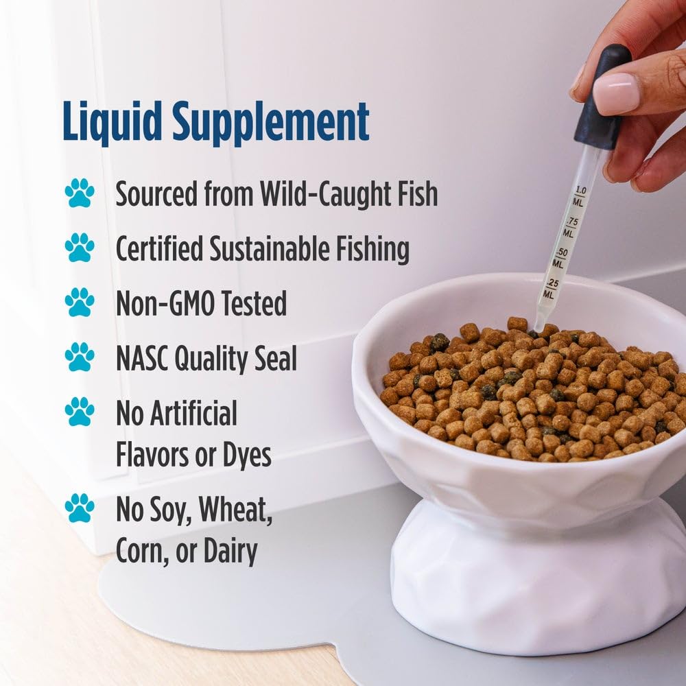 Nordic Naturals Omega-3 Cat, Unflavored - 2 oz - 304 mg Omega-3 Per One mL - Fish Oil for Cats with EPA & DHA - Promotes Heart, Skin, Coat, & Immune Health - Non-GMO Nordic Naturals uk supplements