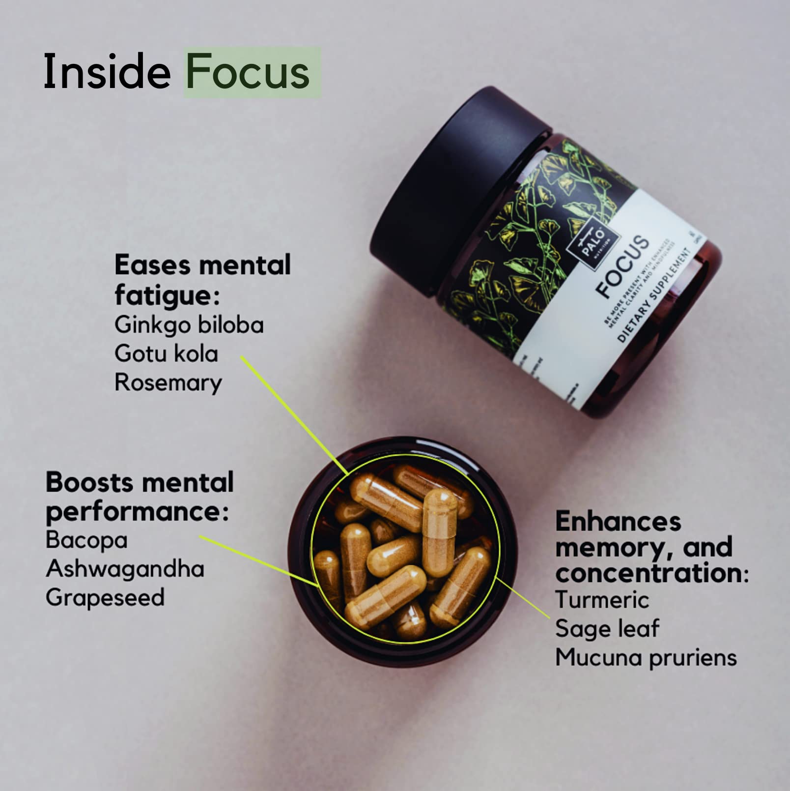 PALO Focus Brain Booster Natural Supplement Nootropic for Memory, Focus, Learning, Reall, Attention and Cognition - Ginkgo Biloba, Bacopa, Gotu Kola, Ashwagandha, Mucuna 60 Capsules PALO uk supplements