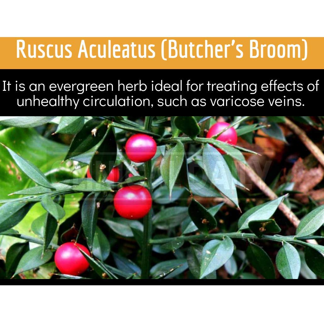 Clinical Daily Blood Circulation Supplements. Butchers Broom, Horse Chestnut, Hawthorn Clinical Daily uk supplements