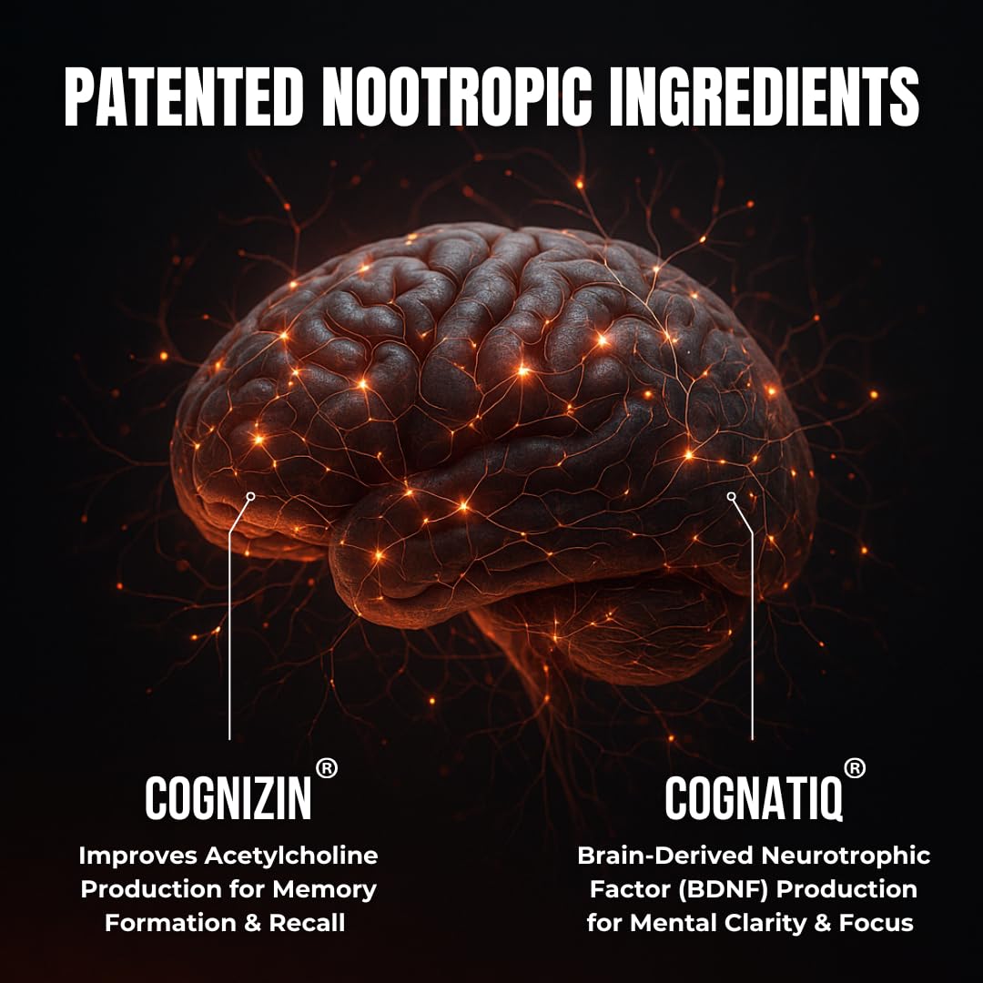 FOCUS + THINK Nootropic Brain Supplement Bundle - Energy, Memory & Focus Support - Caffeine + Caffeine-Free Cognitive Stack with Lion's Mane, Bacopa, Citicoline & L-Theanine - 2 Bottles (90 + 90 Capsu HUMBLEROOTS PERFORMANCE uk supplements