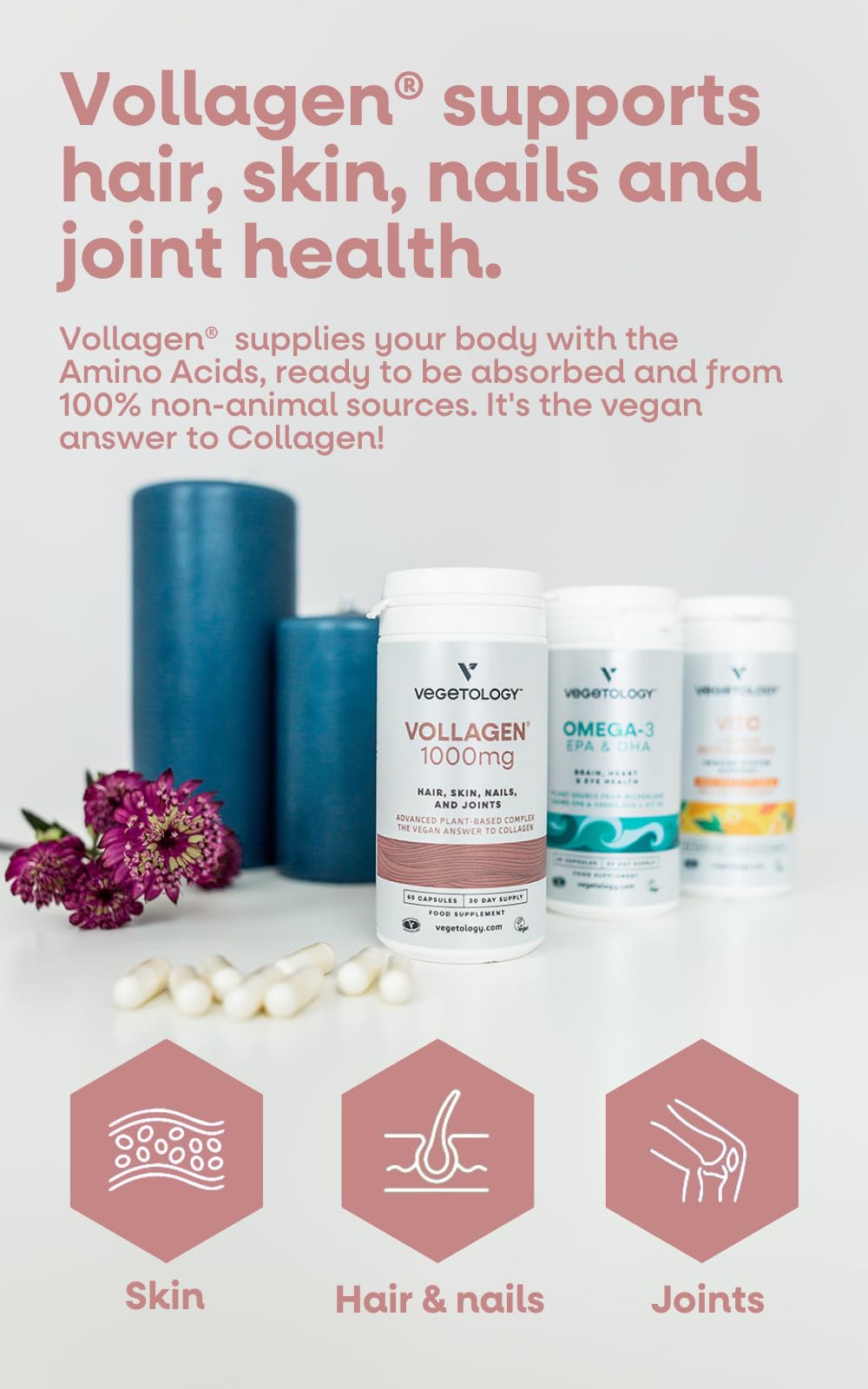 Vegetology Vollagen® Plant Based Complex – Plant Based Protein Alternative to Collagen VEGETOLOGY uk supplements