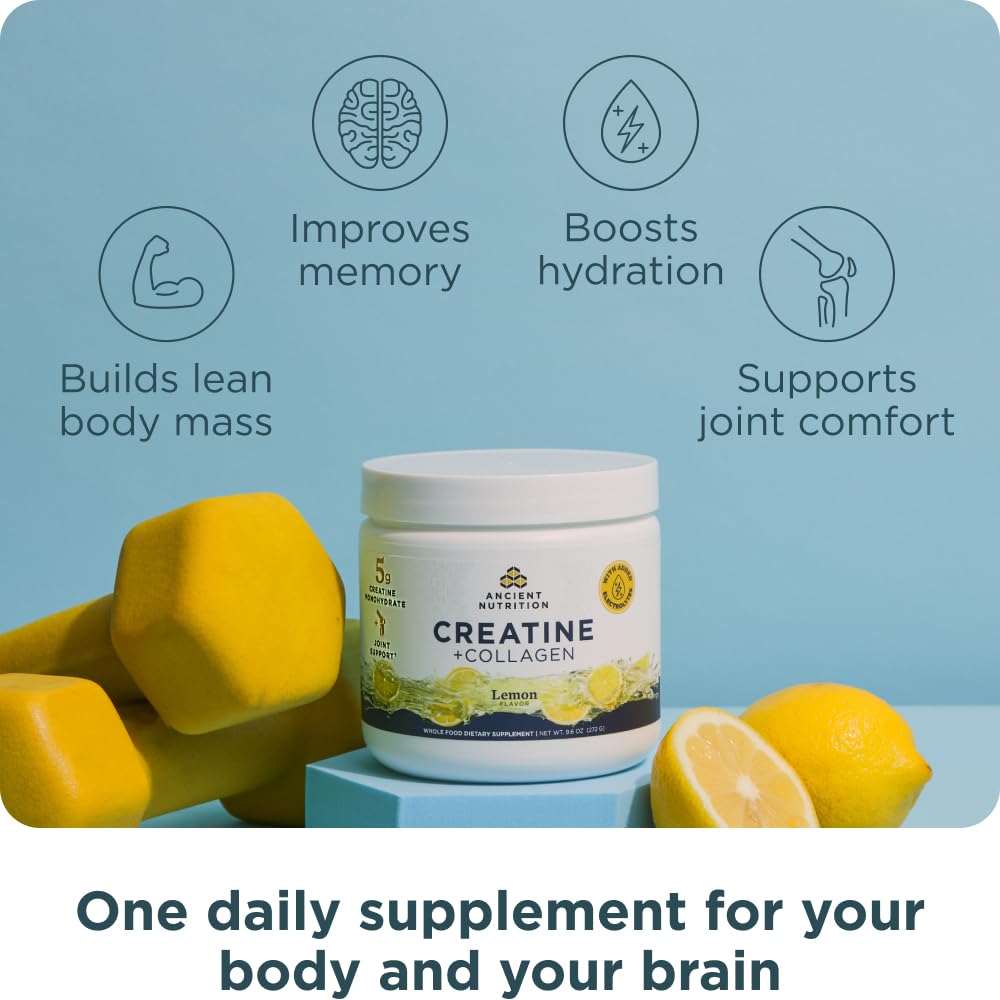 Ancient Nutrition Creatine + Collagen – Muscle Strength, Lean Body Mass, Joint Comfort & Cognitive Support – Includes 5g Creatine Monohydrate for Women + Electrolytes, Lemon, 30 Servings Ancient Nutrition uk supplements