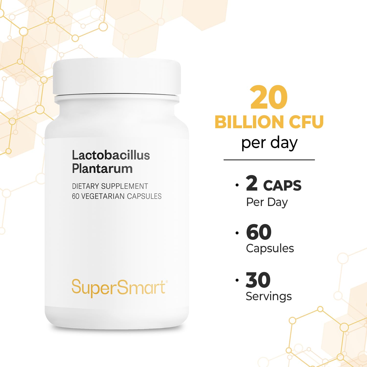 Supersmart - Lactobacillus Plantarum PostBiotic 20 Billion CFU per Day (Immuno-LP20) - Heat-Treated Probiotic Supplement | Non-GMO & Gluten Free - 60 Vegetarian Capsules Supersmart uk supplements