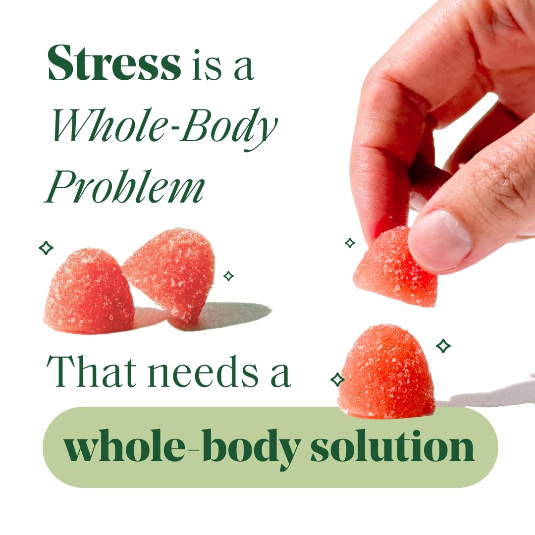Semaine Stress Less Gummy with Cortisol Care™ 60 Count – Daily Support for Stress, Mood & Sleep Semaine uk supplements
