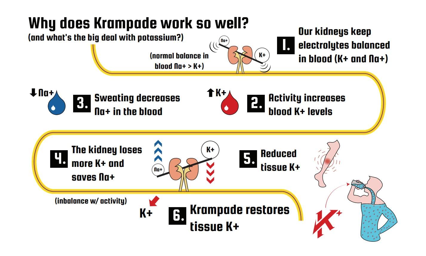 Krampade Original Lemon Lime 4K, 4000 mg Potassium Instant Cramp Relief Electrolyte Drink Powder | Designed for Athletes and Crampers | 19-Serving Resealable Pouch Krampade uk supplements