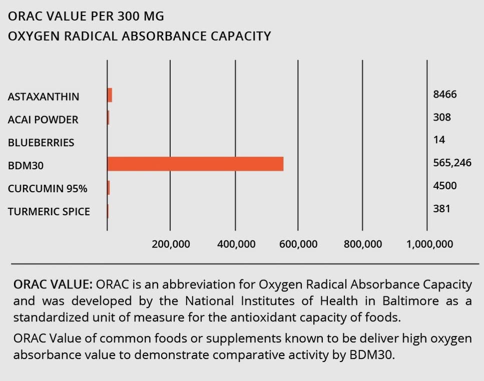 BIOBDMC NovoCurcumin-Next Generation Highly Enhanced Curcumin- 120 Capsules BIOBDMC uk supplements