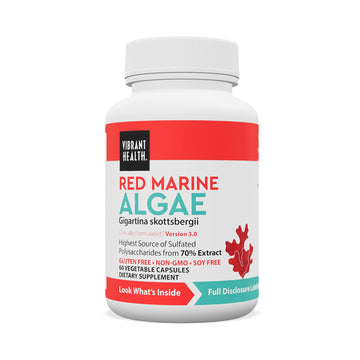 Vibrant Health, Gigartina Red Marine Algae, Plant-Based Immune Support, 60 Capsules Vibrant Health uk supplements